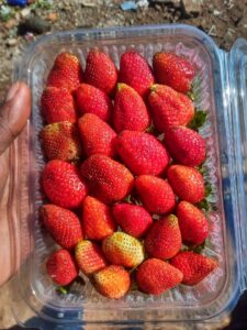 img 20220422 wa0016 01