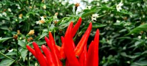 img 20220509 wa0035 original