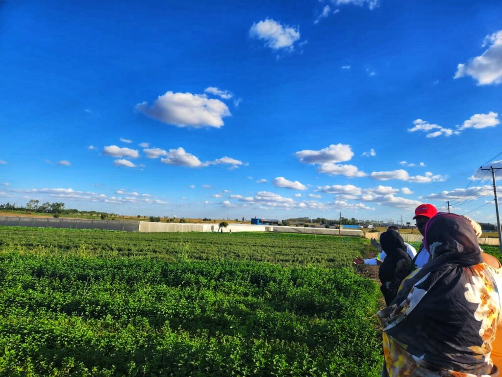 img 20220609 wa0080 01