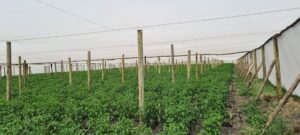 img 20221007 wa0014 original