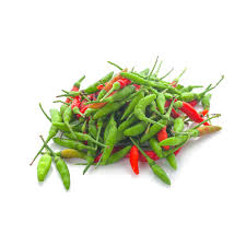 import placeholder for 262