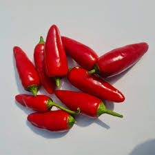 african bird’s eye chillies